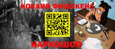 кокс Кингисепп