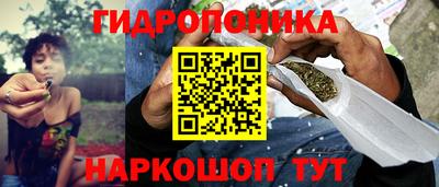 кокс Кингисепп