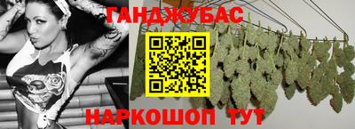 кокс Кингисепп