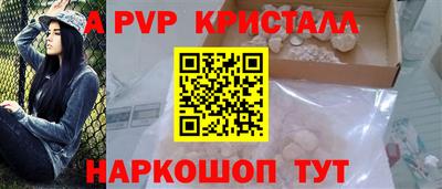 кокс Кингисепп